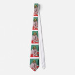 Woman with cat beautiful nude painting Vallotton ties