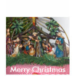 Woman's T-Shrit/Christmas/Nativity t-shirts