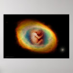 Womb by Gregory Gallo Posters