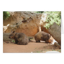 Wombat Heaven Greeting Card