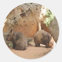 Wombat Heaven Stickers