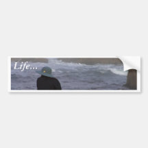 Women On Beach Bumper Stickers
