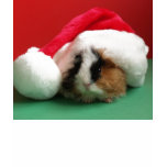 Womens Cool Christmas Guinea Pig t-shirts