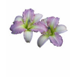 Women's Daylily T-Shirt