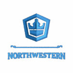Women's Embroidered T-Shirt embroidered shirts