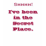Womens Secret Place tee t-shirts