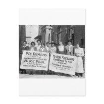Women's Suffrage Pickets, 1917 Postcard