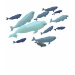 Women's Whale Shirt Cute Beluga Whale Art Shirts