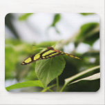 wonder of green mousepads