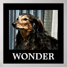 Wonder Print