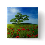 Wonderful World buttons