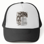 Wonderland Which Way I Ought To Go Quote Mesh Hats