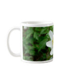 Wood Anemone Anemone Nemoro Coffee Mugs
