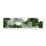 Wood Anemone In The Grass bumper stickers
