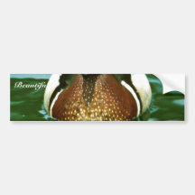 Wood Duck Bumper Stickers