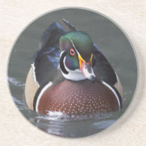 Wood Duck Coaster