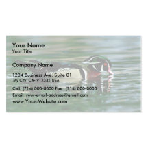 Wood Duck (Drake) Business Cards