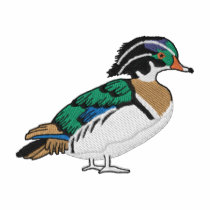Wood Duck