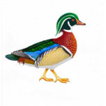Wood Duck Holiday Ornament photo sculptures