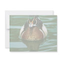 Wood Duck invitations