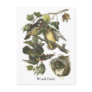 Wood Duck, John Audubon Post Cards