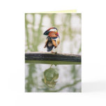 Wood Duck Reflection Greeting Card