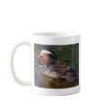 wood-duck-with-an-ankle-braclet mugs