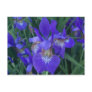 Wood Iris Post Card