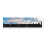 Wood, Lake & Clouds Bumper Stickers