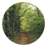Wood Path stickers