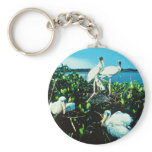 Wood Stork Chicks Keychain