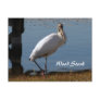 Wood Stork Post Cards