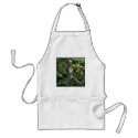 Wood Thrush aprons