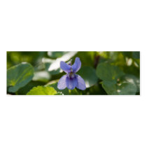 Wood Violet Business Card Templates