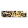Woodcock on Nest Bumper Stickers