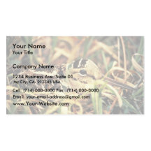 Woodcock on Nest Business Cards
