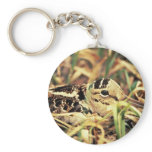 Woodcock on Nest Key Chains