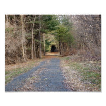Wooded Path 10x8 Photographic Print