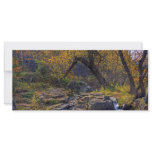 Wooden Archway Customized Rack Card