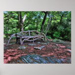 wooden bench in Central Park, NYC Print