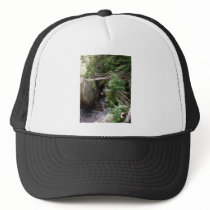 Wooden Bridge Over The Water In The Forest With Bi Mesh Hats