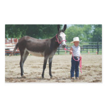 Woodford Ky County Fair Mule/donkey show 2009 Rectangle Stickers