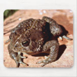 Woodhouse Toad mousepads