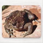 Woodhouse Toad mousepads