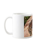 Woodhouse Toad mugs