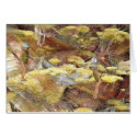 Woodland Bees cards