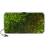 Woodland Camo Speaker