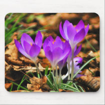 Woodland Crocuses mousepads