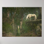 Woodland Encounter posters
