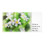 WOODLAND FLOWERS as a painting, She loves me Custom Photo Card